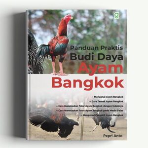 Panduan Praktis Budi Daya Ayam Bangkok