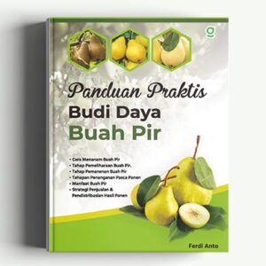 Panduan Praktis Budi Daya Buah Pir