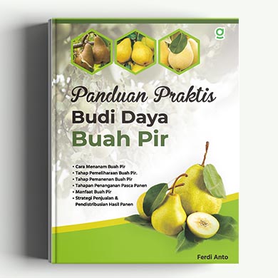 Panduan Praktis Budi Daya Buah Pir