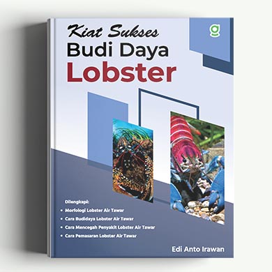 Kiat Sukses Budi Daya Lobster