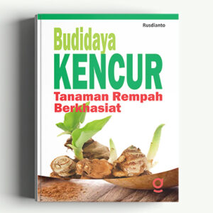 Budidaya Kencur Tanaman Rempah Berkhasiat
