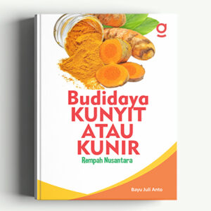 Budidaya Kunyit atau Kunir Rempah Nusantara