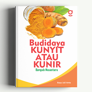 Budidaya Kunyit atau Kunir Rempah Nusantara